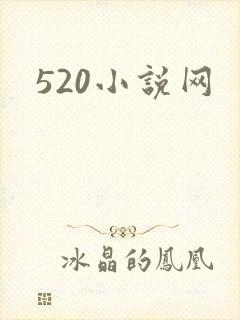 520小说网