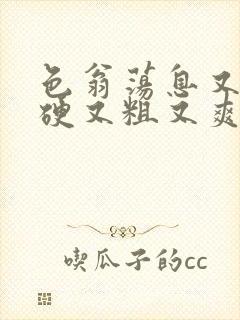 色翁荡息又大又硬又粗又爽封面