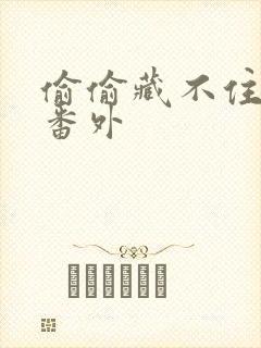 偷偷藏不住新婚番外封面
