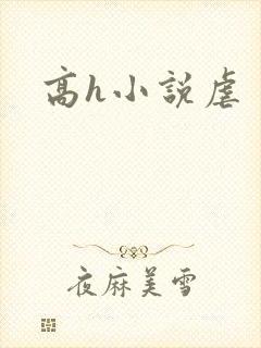 高h小说虐
