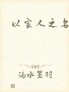 以家人之名小说