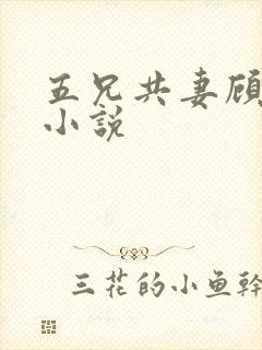 五兄共妻顾心儿小说