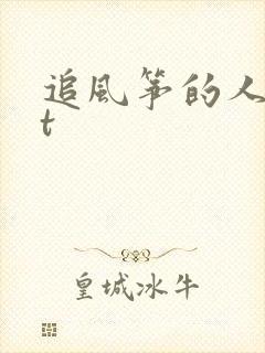 追风筝的人txt