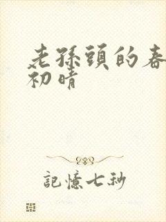 老孙头的春天林初晴