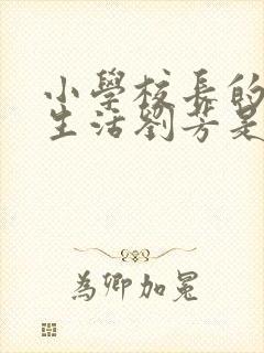 小学校长的幸福生活刘芳是谁封面