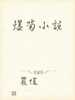 爆菊小说