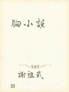胸小说