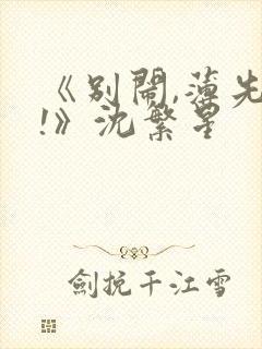 《别闹,薄先生!》沈繁星