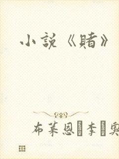 小说《赌》封面