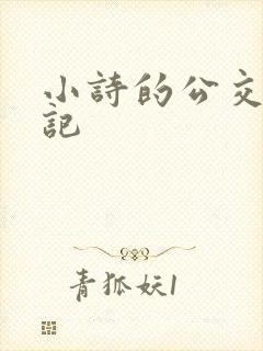 小诗的公交车日记封面