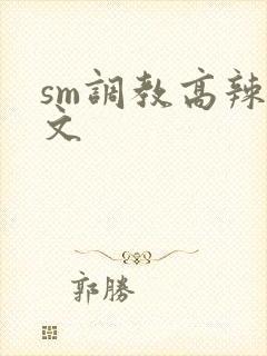 sm调教高辣h文