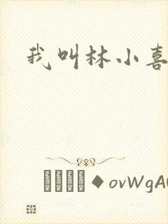 我叫林小喜17