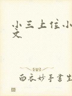 小三上位小说全文