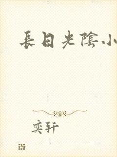 长日光阴小说
