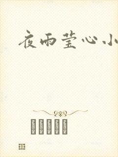 夜雨莹心小说