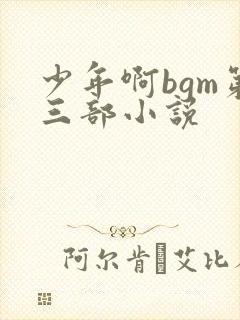 少年啊bgm第三部小说