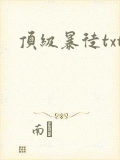 顶级暴徒txt封面