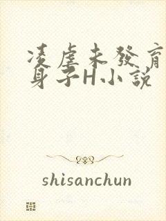 凌虐未发育的小身子H小说封面
