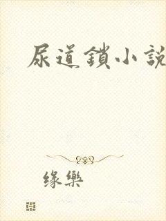 尿道锁小说封面
