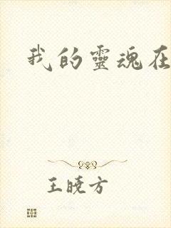 我的灵魂在古代封面