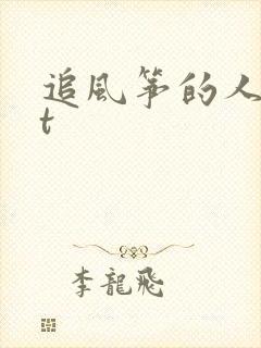 追风筝的人txt