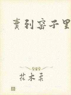 卖到窑子里np