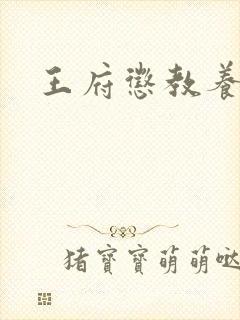 王府惩教养日常