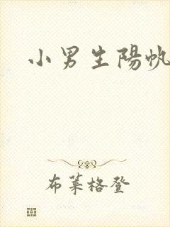小男生阳帆