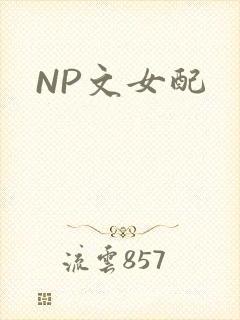 NP文女配