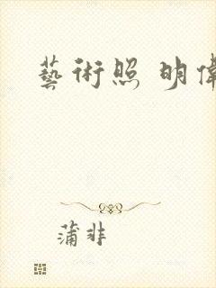 艺术照 明伟封面