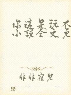 你这是玩不起呀小说全文免费阅读封面