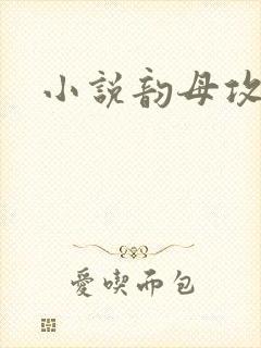 小说韵母攻略