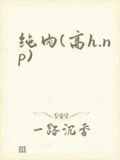 纯肉(高h.np)