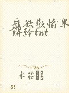 瘾欲欢愉半块小饼干tnt