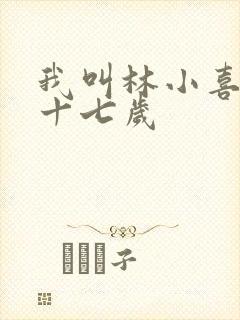 我叫林小喜今年十七岁封面