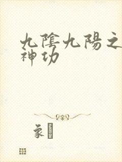 九阴九阳之阴阳神功封面