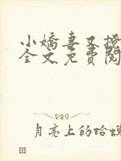 小娇妻又撩又甜全文免费阅读