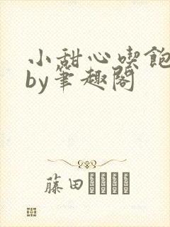 小甜心吃饱了吗by笔趣阁封面