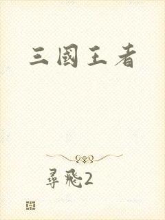 三国王者