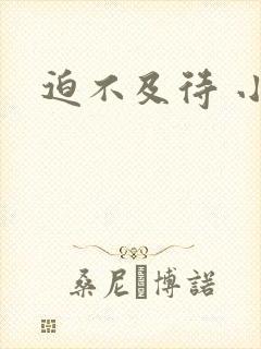 迫不及待 小穴