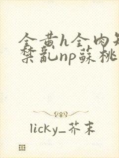 全黄h全肉短篇禁乱np苏桃