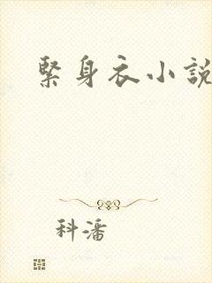 紧身衣小说封面