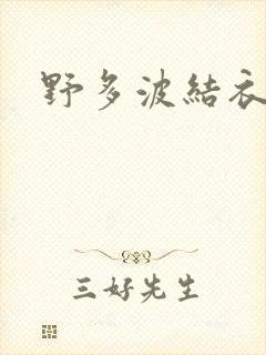 野多波结衣