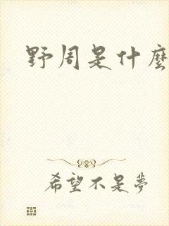 野周是什么意思