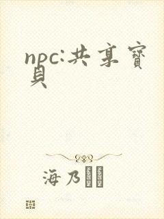 npc:共享宝贝