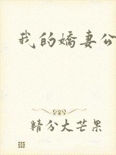 我的娇妻公务员