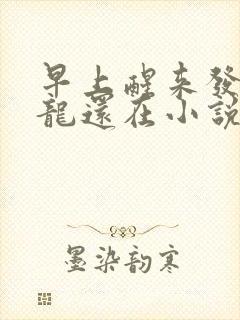 早上醒来发现巨龙还在小说