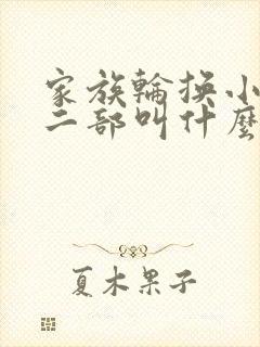 家族轮换小说第二部叫什么名字封面