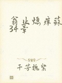 翁止熄痒苏钥第34章