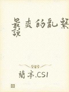 最爽的乱系列小说